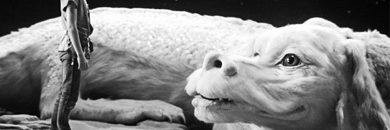 marce_cortizo's profile banner image