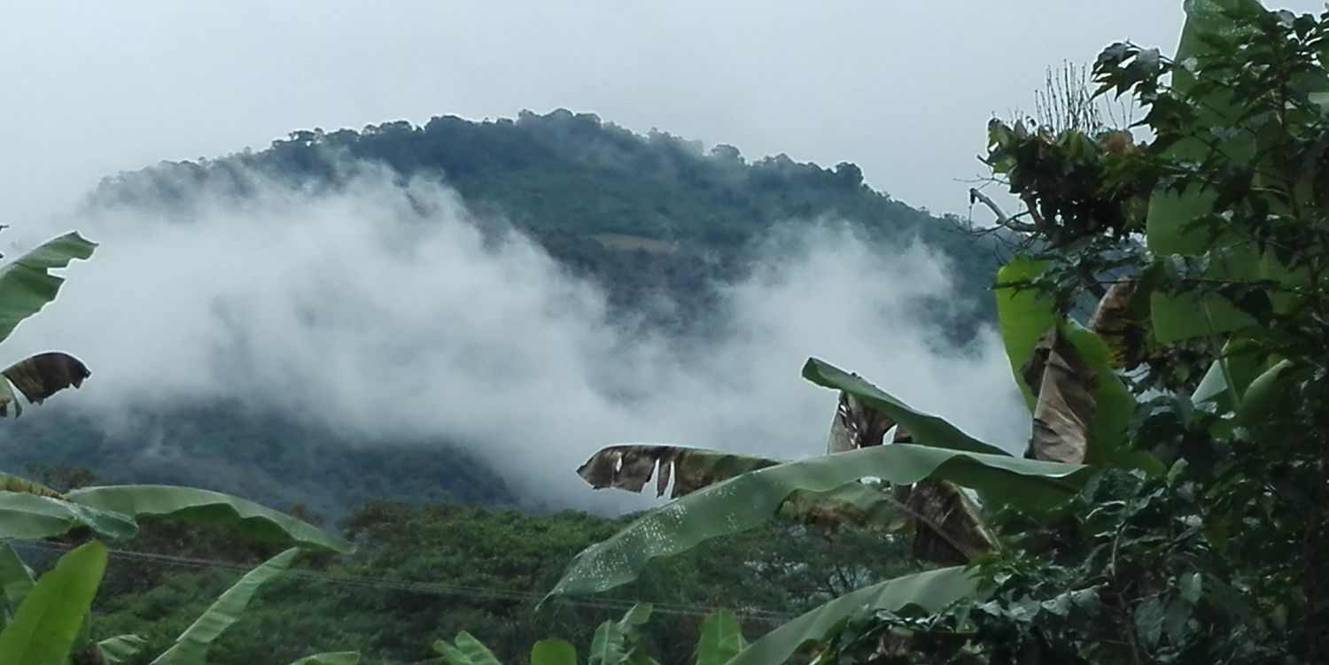 CafeFemcafe's profile banner image