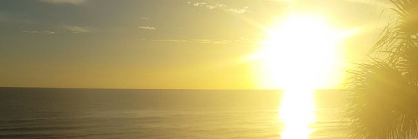 brandon_mma's profile banner image