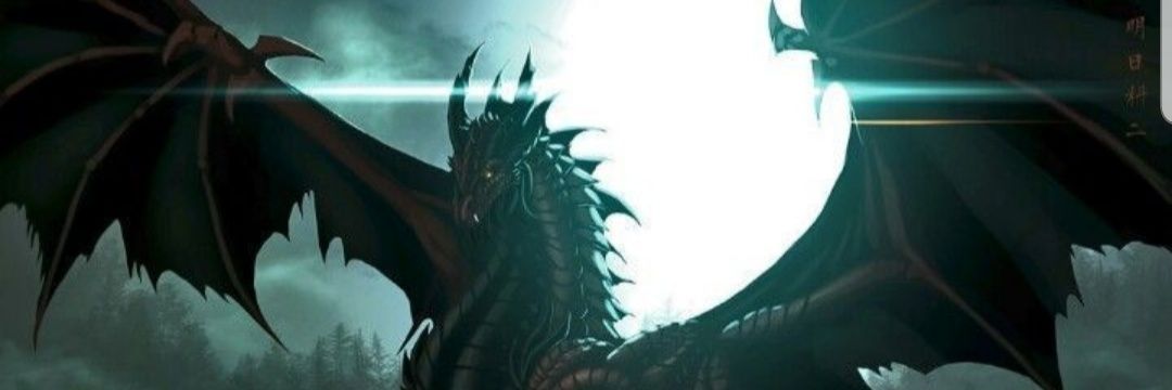 Alpha_wolfyy's profile banner image