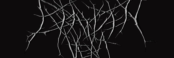 BraydenVera Profile Banner