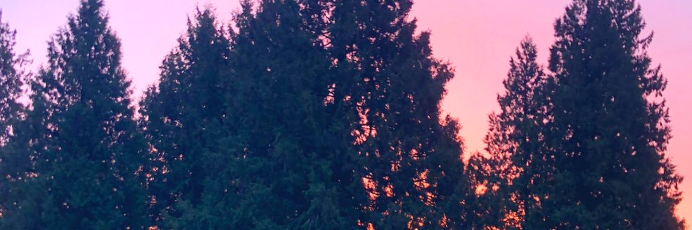 EmilyCastle8's profile banner image