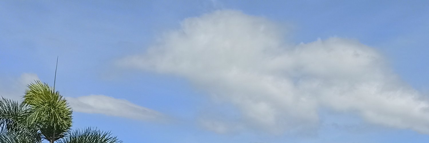 sinepayl's profile banner image