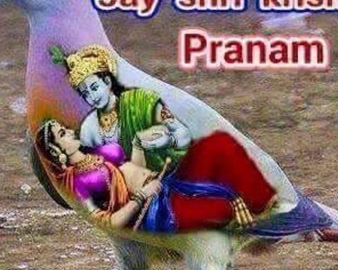 HansrajMeen's profile banner image