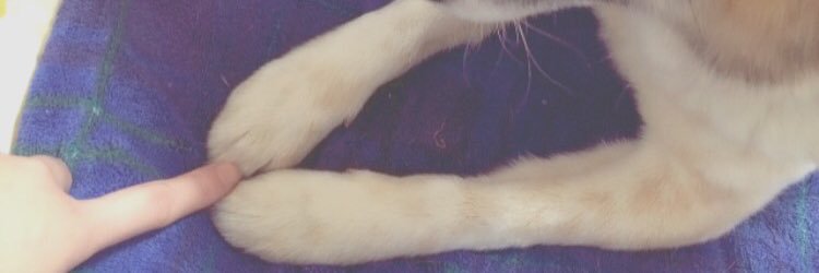 mc_pky's profile banner image