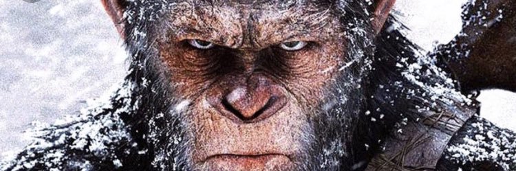 SsamuelCox's profile banner image