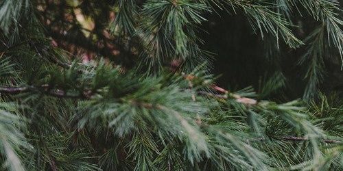 mania_do's profile banner image