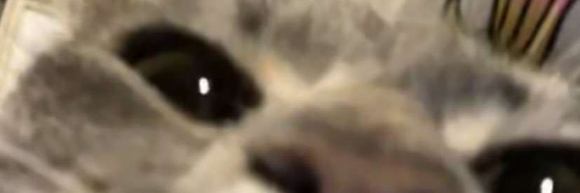 cutiepie_mona's profile banner image