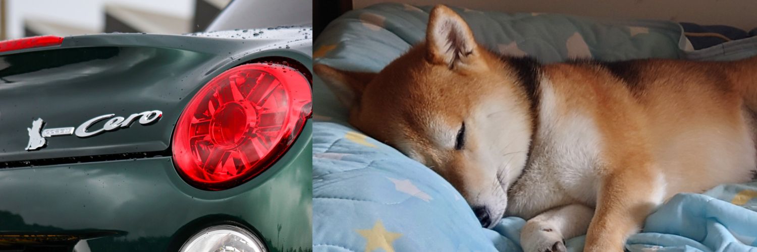 ﾁｬﾝまみ˶⍤⃝˶ 誤字達人↺ banner