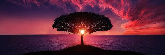 JAndresGuzmanG's profile banner image