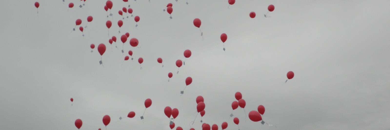 WickhambrookP's profile banner image