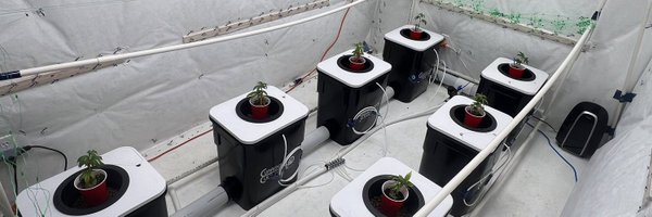 SpliffyG Profile Banner