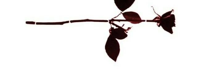 _madmai's profile banner image