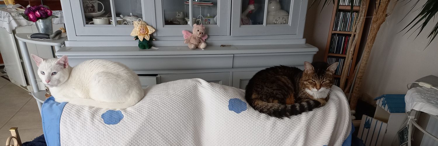 Figaro, Tsuki é Ava (é dé fwoi not' maine) banner