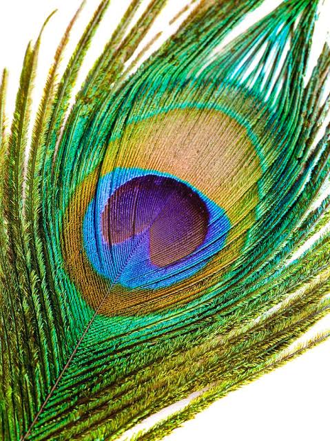 pravin_'s profile banner image