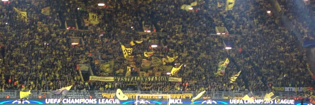 René Wolber banner