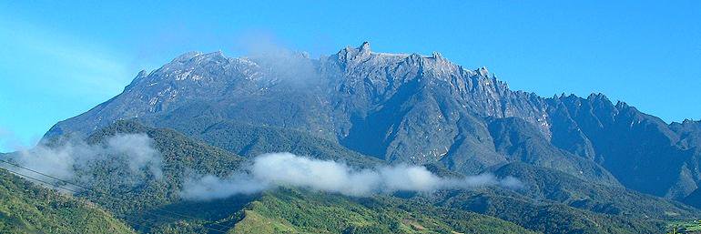 𝐿𝓊𝒸𝓀𝓎 𝒜𝓃𝑔𝑒𝓁☘️ banner