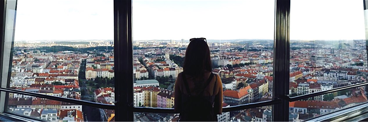 suzanabincl's profile banner image