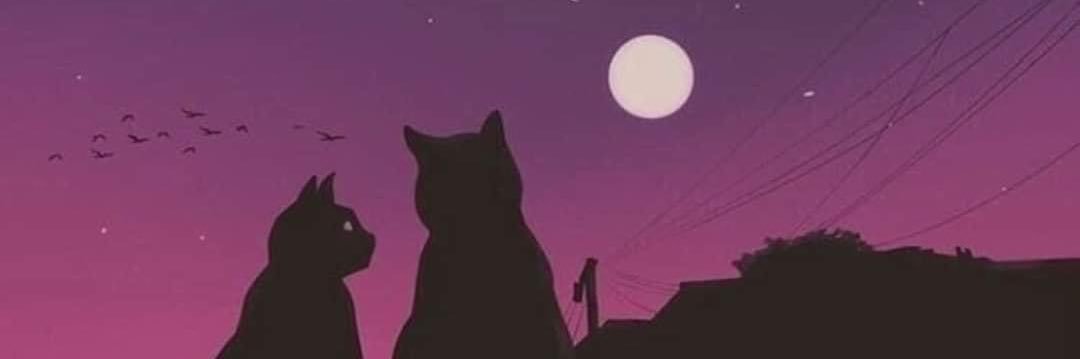pppatti's profile banner image