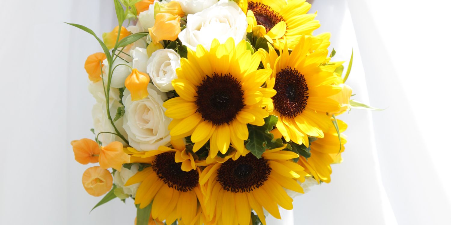 cafe1468's profile banner image