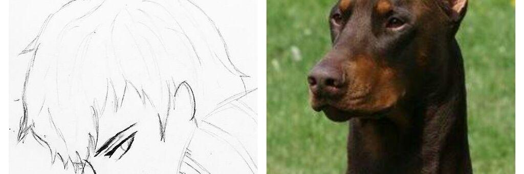 Zoo_Ricardo's profile banner image