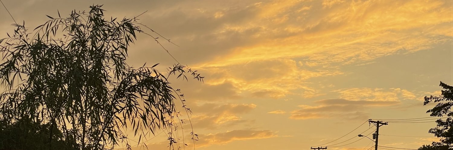 ethangilmore101's profile banner image