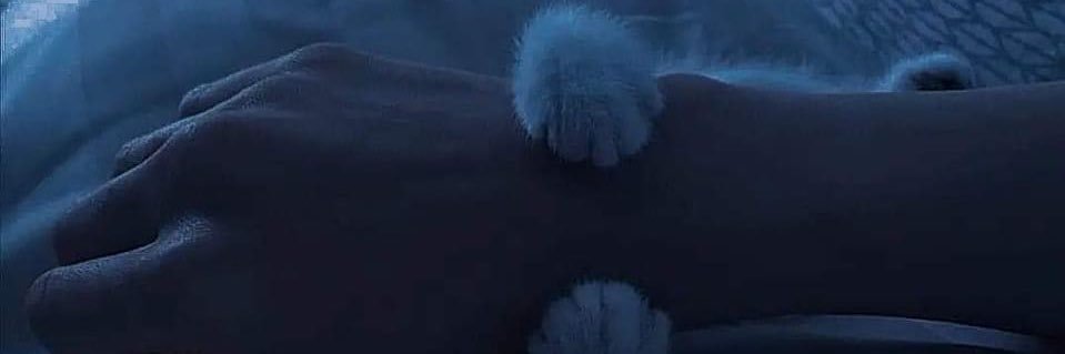 Fakharani8's profile banner image
