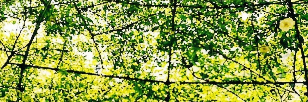 Amazing777Mf's profile banner image