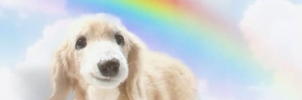 jespyworld's profile banner image