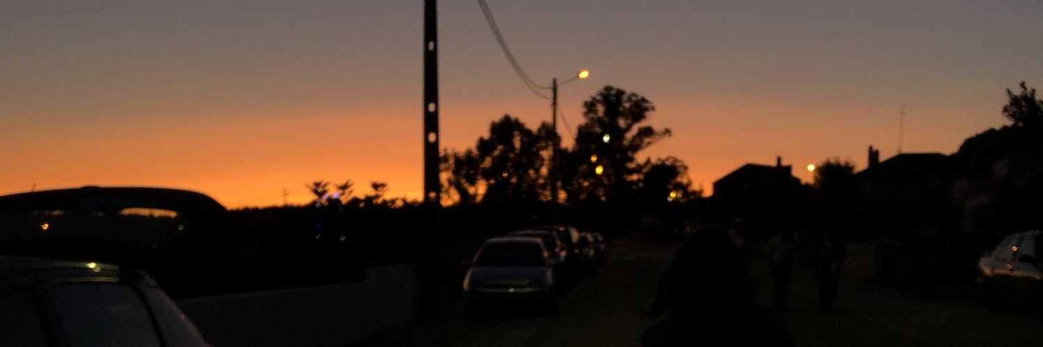 melaaarose's profile banner image