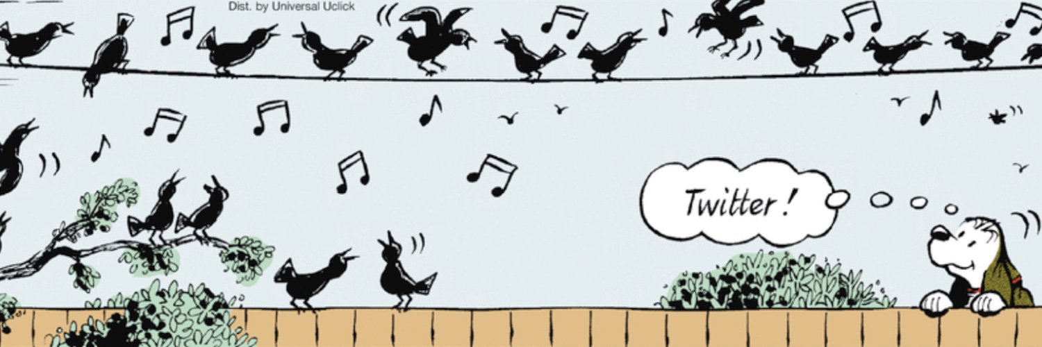 User's X banner image