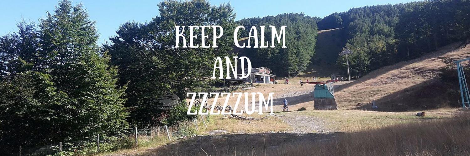 Zum_Zeri's profile banner image