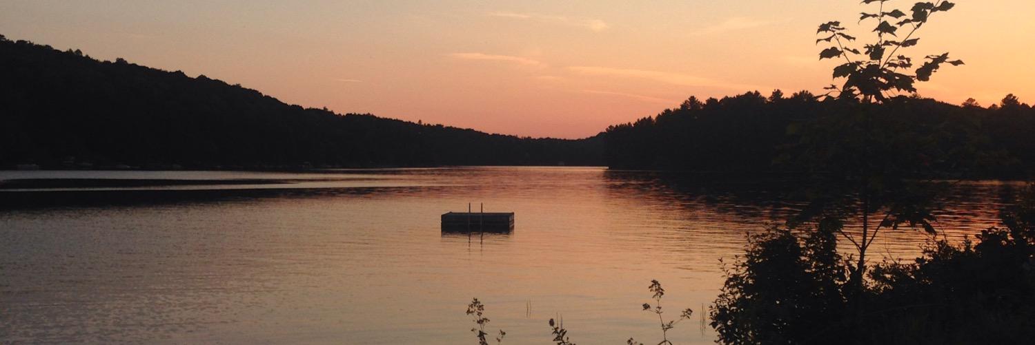 Geoff Thompson banner