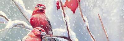 semgjm's profile banner image