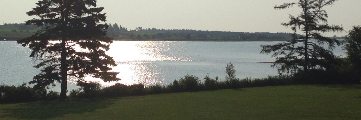 Jessica Goora banner