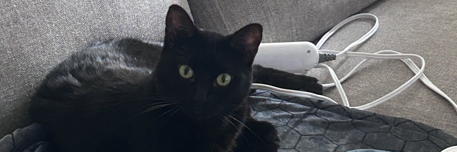 RoPetitt's profile banner image