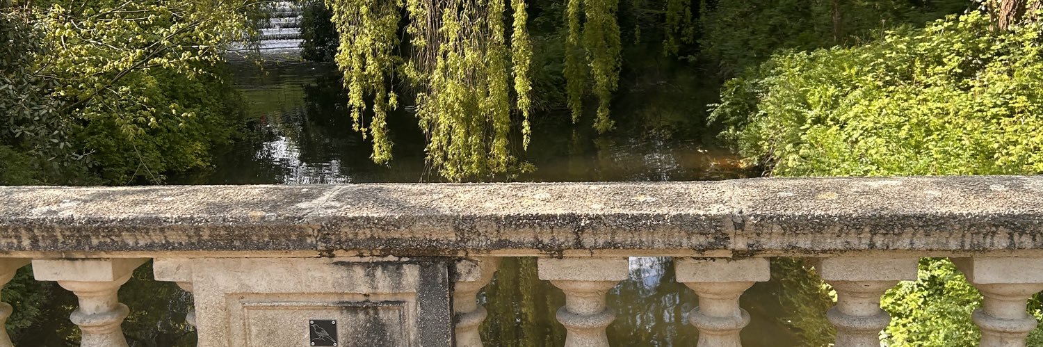 WhiteEmis's profile banner image