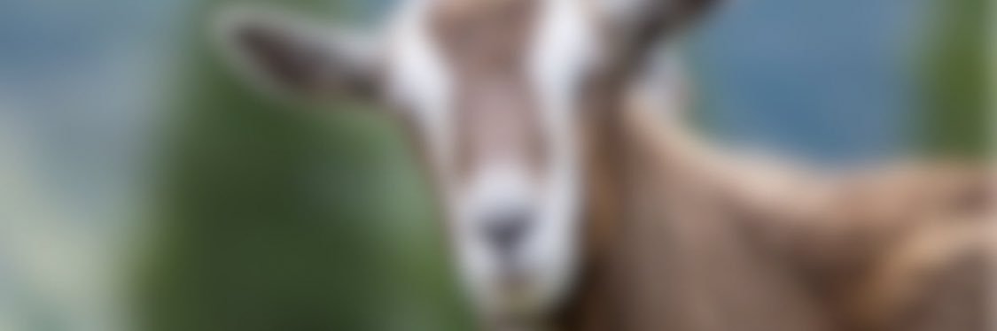 femi_adu13's profile banner image