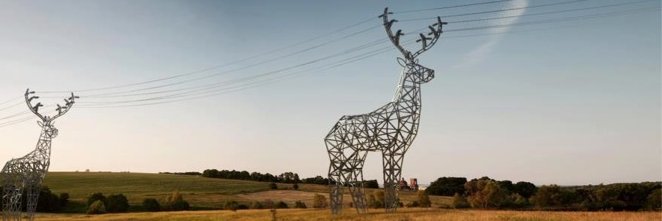 Glen Wright ⚡🐋 banner