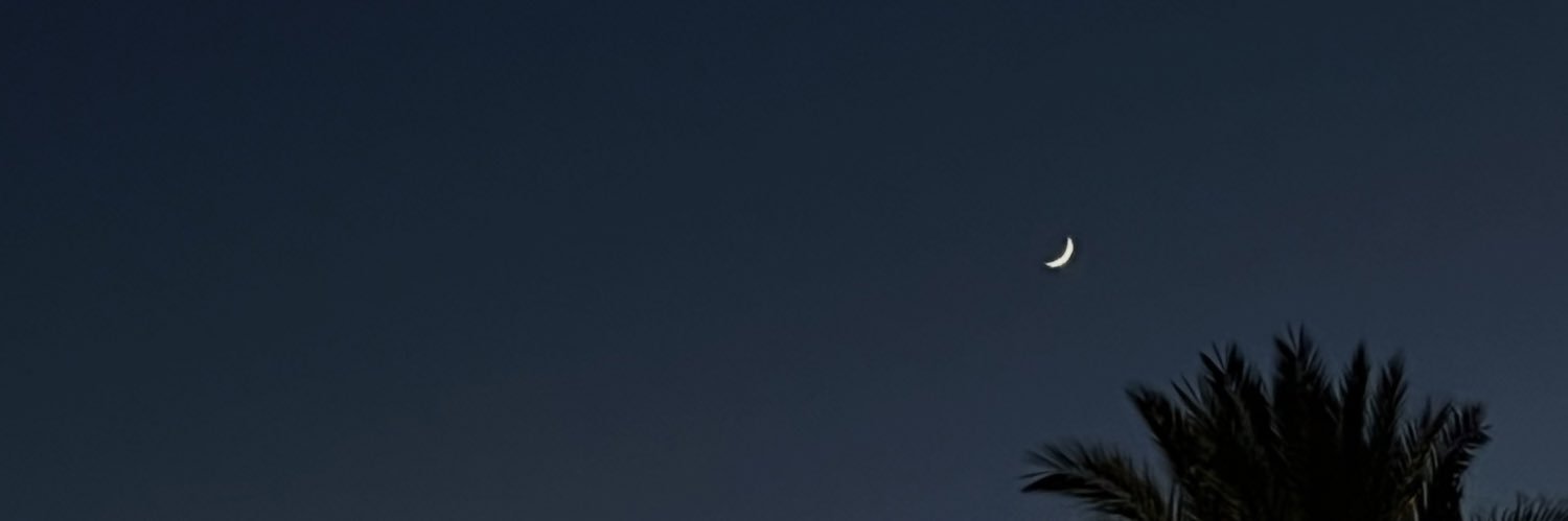 nourelshall's profile banner image