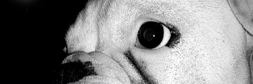 leandro_869's profile banner image