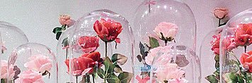 tatata_pi's profile banner image