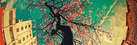 katerin contreras banner