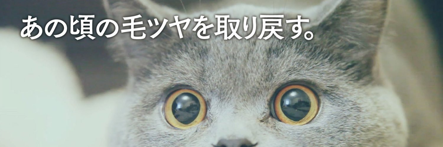 F_silvestoxin's profile banner image