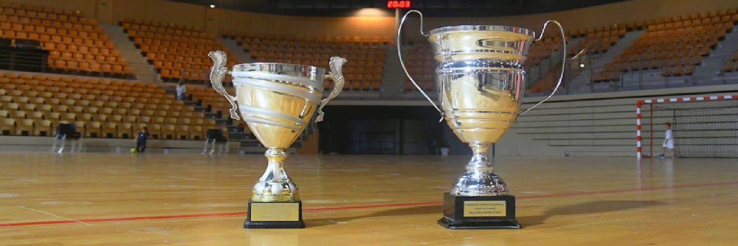 Comité de Vendée de Handball banner