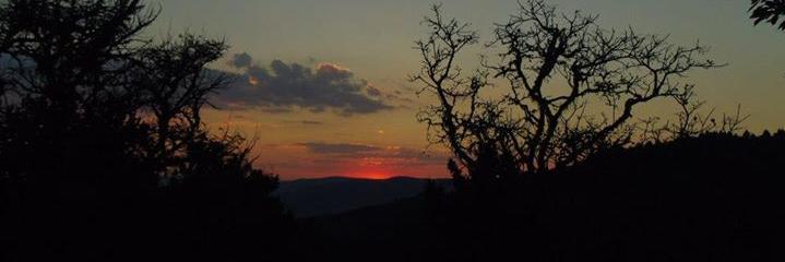 FloDeBrito's profile banner image