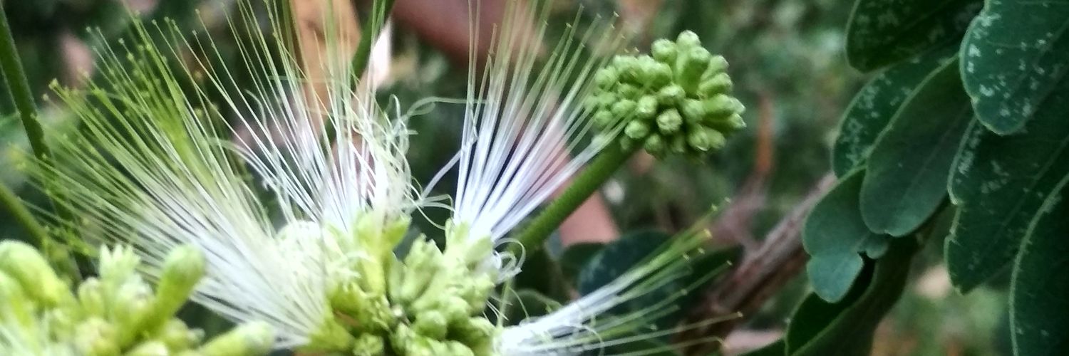 🇳🇵🇳🇵दिपक🇳🇵🇳🇵 banner