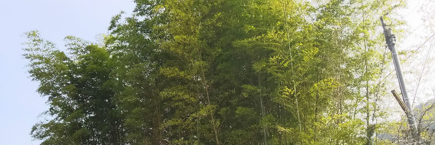 tfuuma_1013's profile banner image