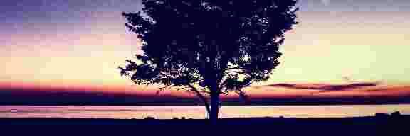 florlemoscabral's profile banner image