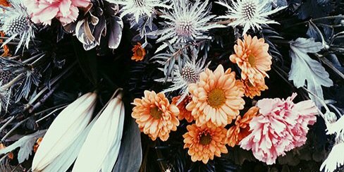 Sarah__pii's profile banner image